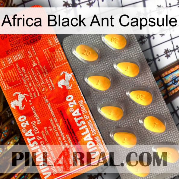 Africa Black Ant Capsule new01.jpg